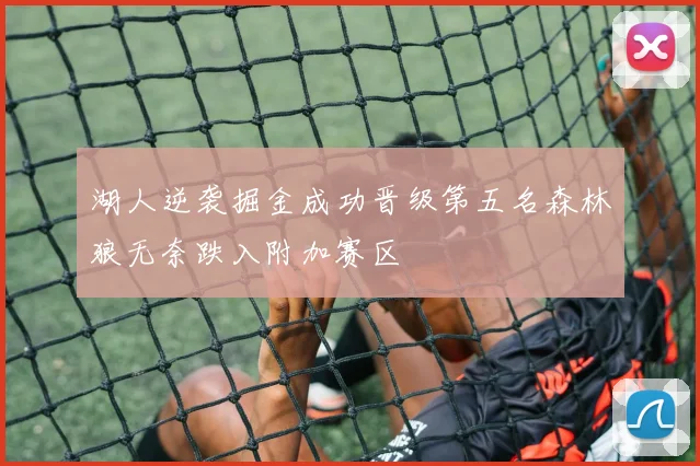 湖人逆袭掘金成功晋级第五名森林狼无奈跌入附加赛区