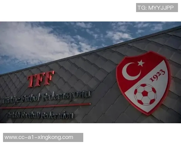 土耳其足协宣布149名裁判因涉赌被禁赛67名裁判上诉遭驳回